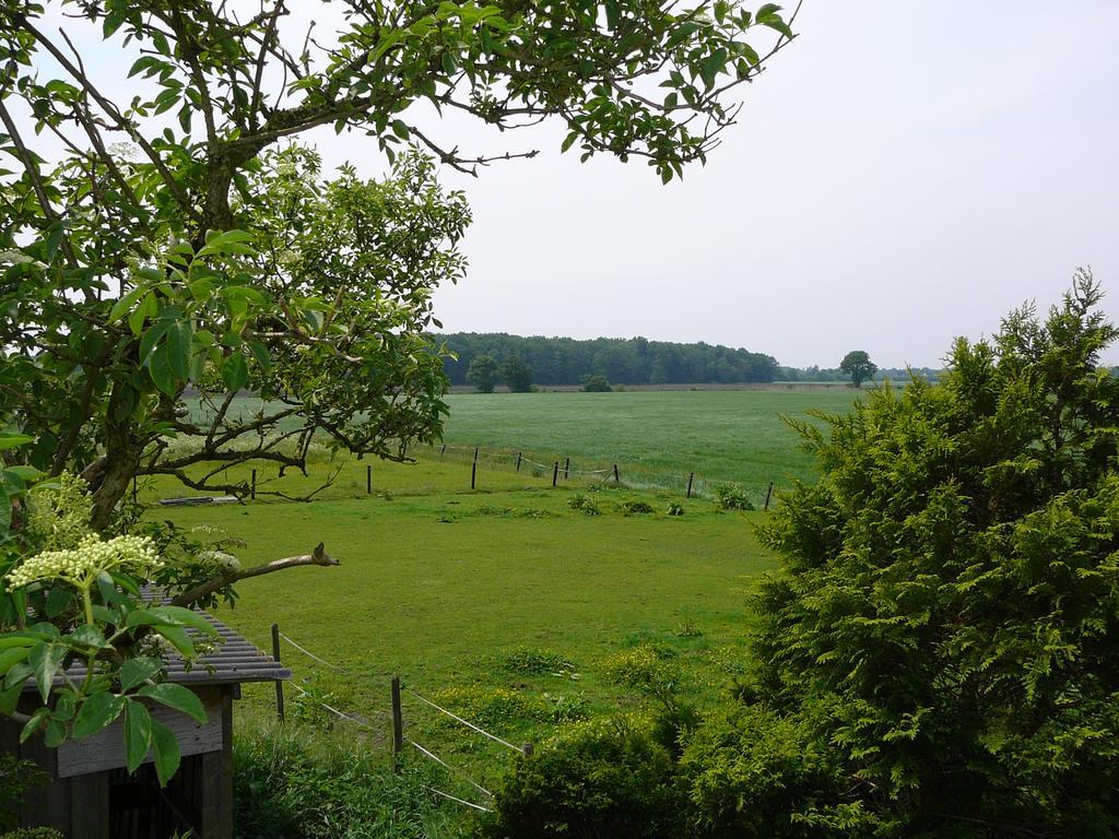 Zonneraai Villa Nieuweroord Luaran gambar